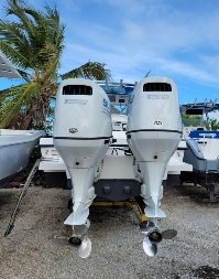 Dusky 278 Twin Motors